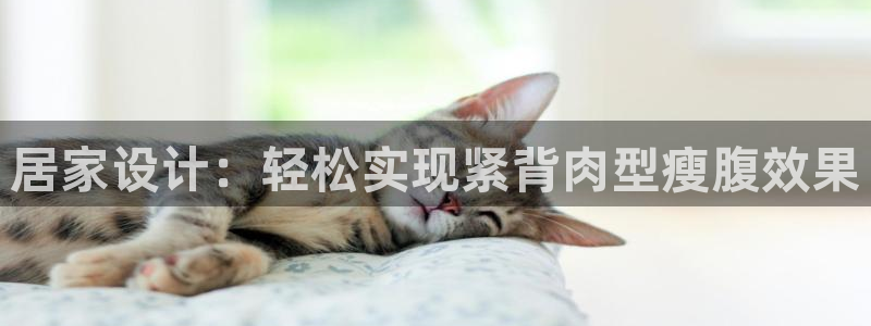 yy易游体育官方正版app娱乐平台:居家设计:轻松实现紧背肉